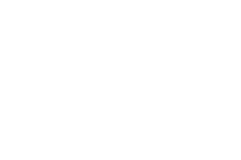 DNV logo