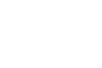 sentinal one
